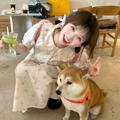 真爱满屋4